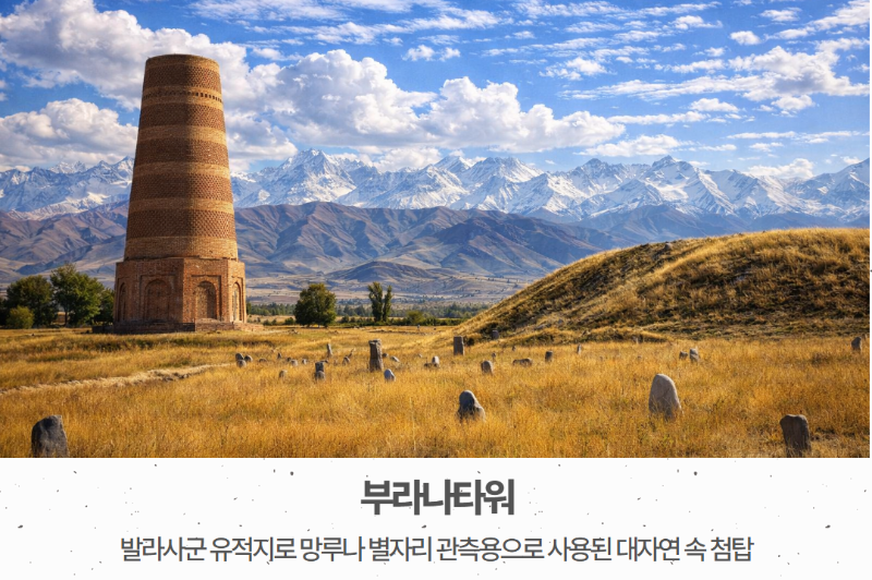 제목을 입력하세요 7.png